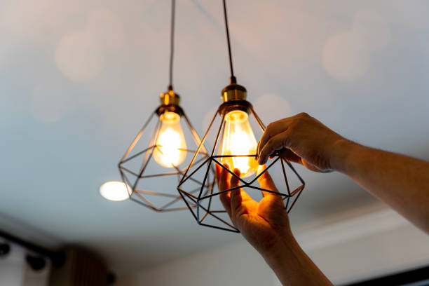Best Electrical Repair Services  in Holt, MI