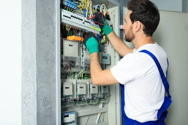 Best Electrical Troubleshooting Services  in Holt, MI