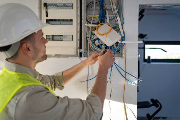 Best Local Electrician Companies  in Holt, MI